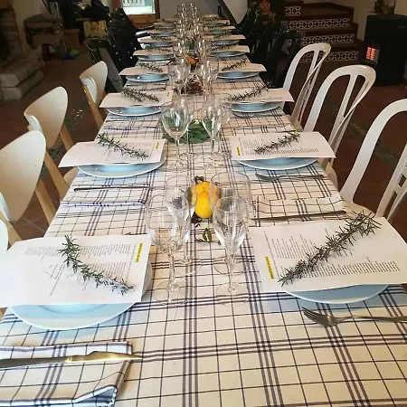 L'olivera Castellbisbal