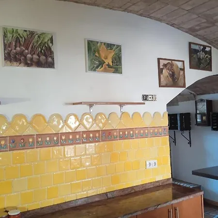 L'olivera Κατάλυμα σε φάρμα Castellbisbal