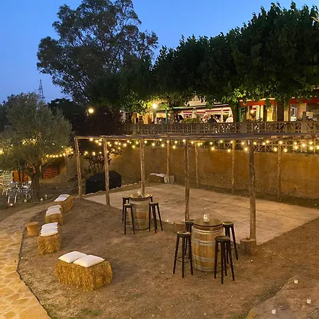 L'olivera * Castellbisbal