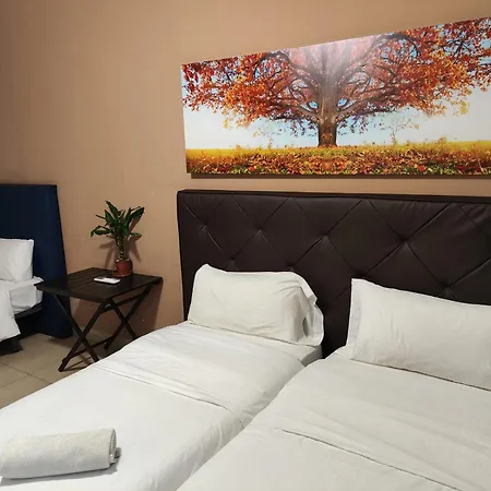 L'olivera * Castellbisbal