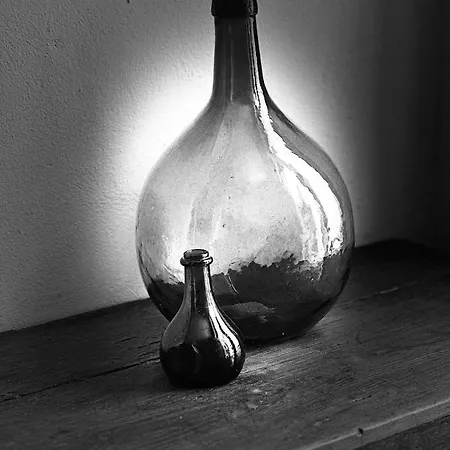 Farm stay L'olivera Castellbisbal